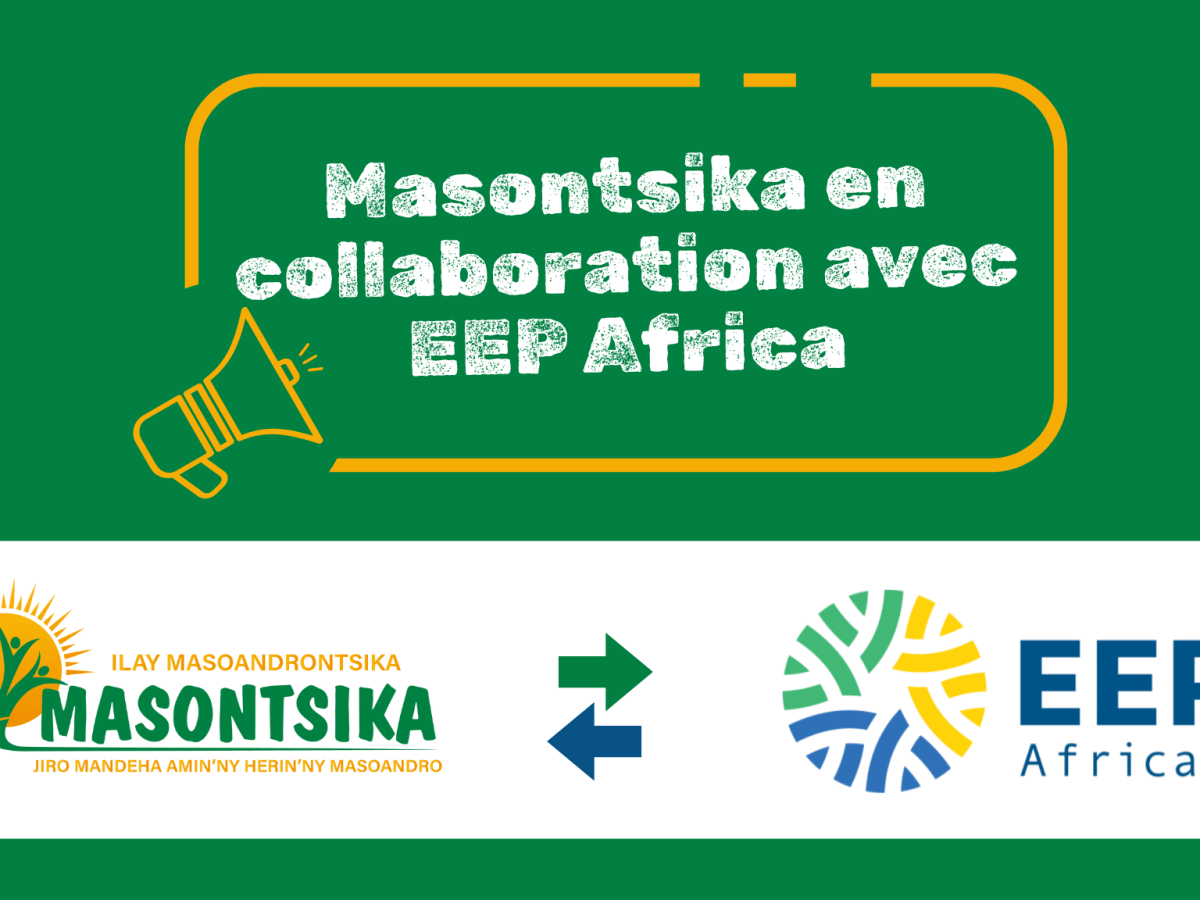 Masontsika et EEP Africa : un partenariat pour une énergie solaire à&nbsp;impact
