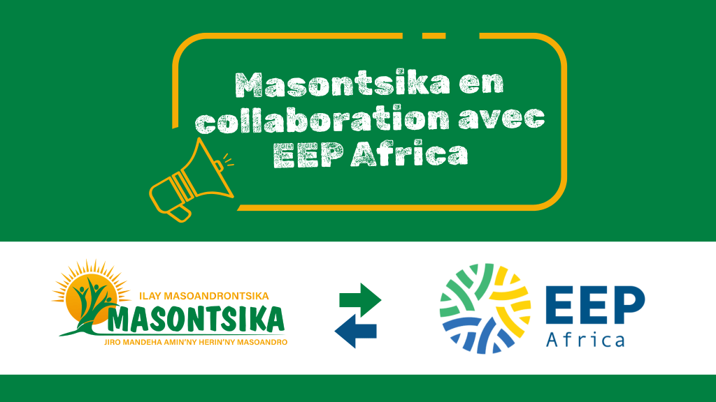 Masontsika et EEP Africa : un partenariat pour une énergie solaire à&nbsp;impact